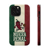 No Era Penal · Mexico Case