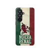 No Era Penal · Mexico Case